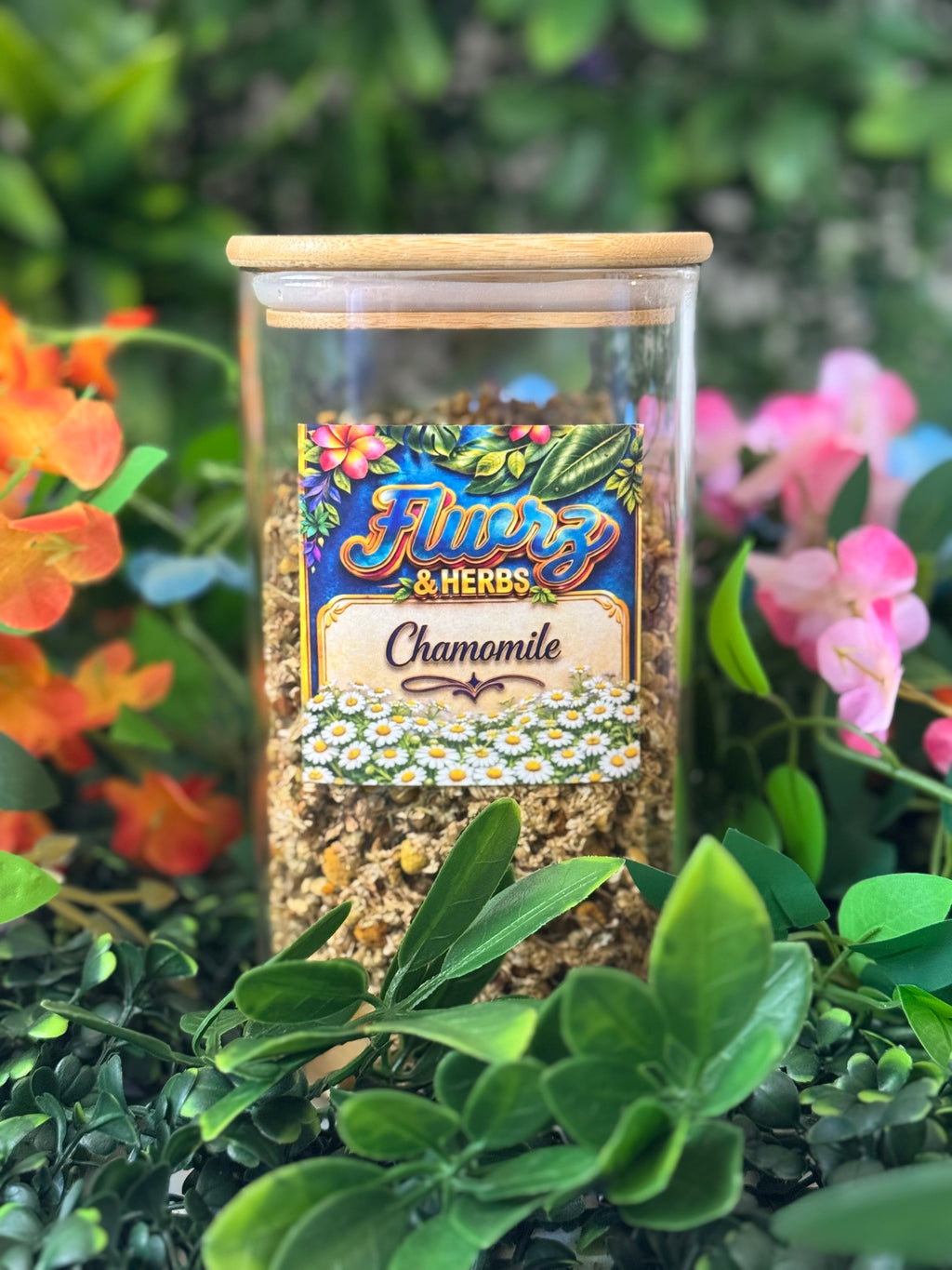 Chamomile
