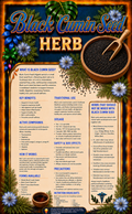Black Cumin Seed